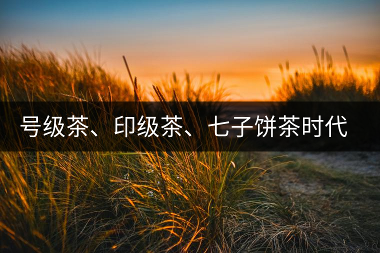 號級茶、印級茶、七子餅茶時代是怎么劃分的？