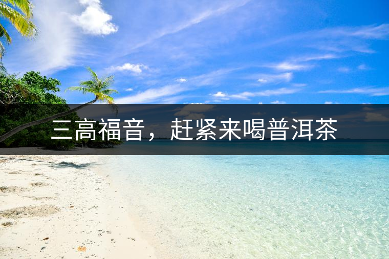 三高福音，趕緊來喝普洱茶