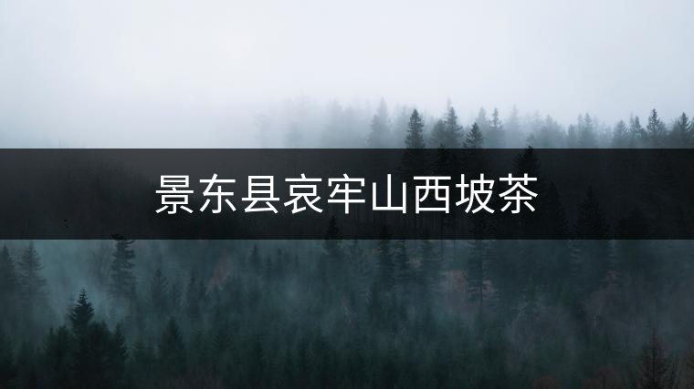 景東縣哀牢山西坡茶 景東縣哀牢山西坡茶
