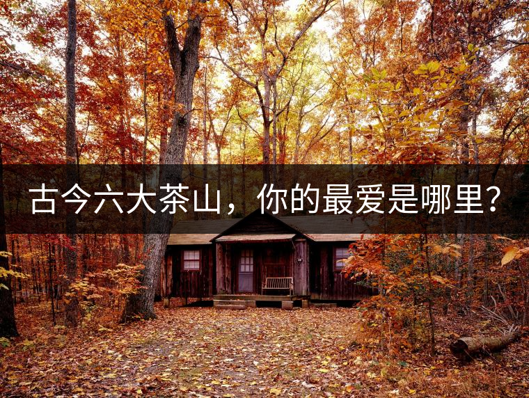 古今六大茶山，你的最愛(ài)是哪里？