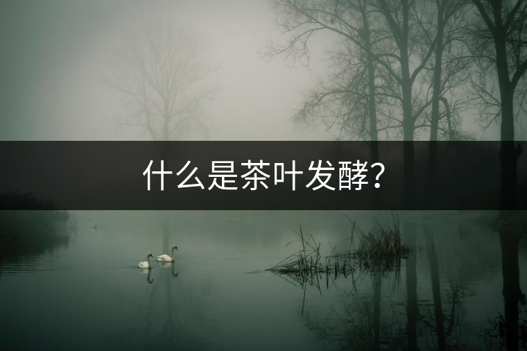 什么是茶葉發(fā)酵? 什么是茶葉發(fā)酵?