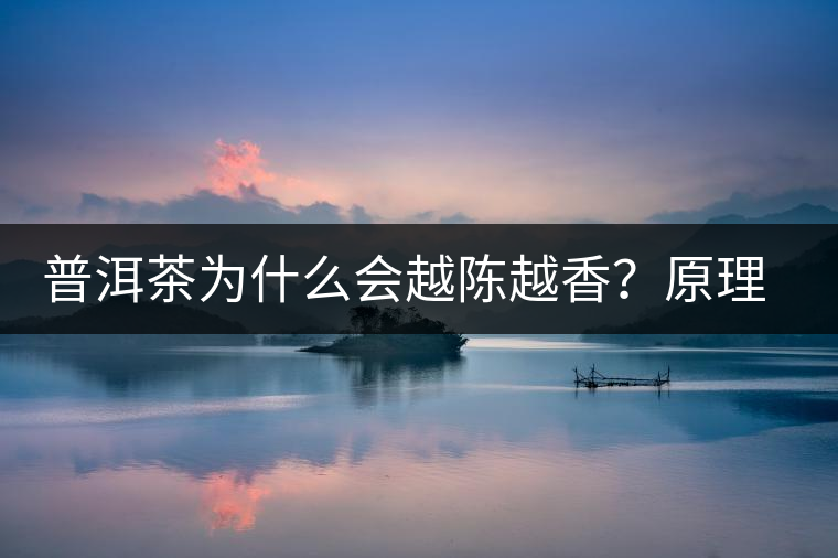 普洱茶為什么會(huì)越陳越香？原理是什么？