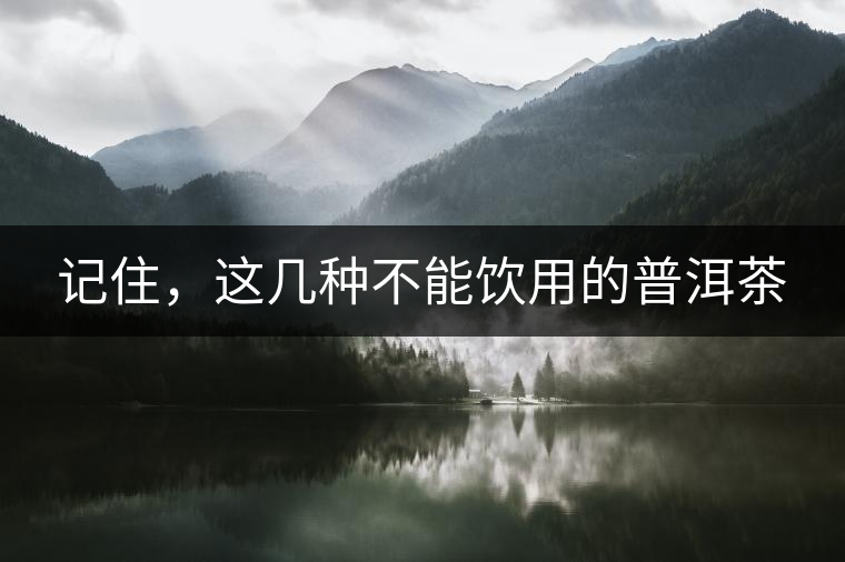 記住，這幾種不能飲用的普洱茶