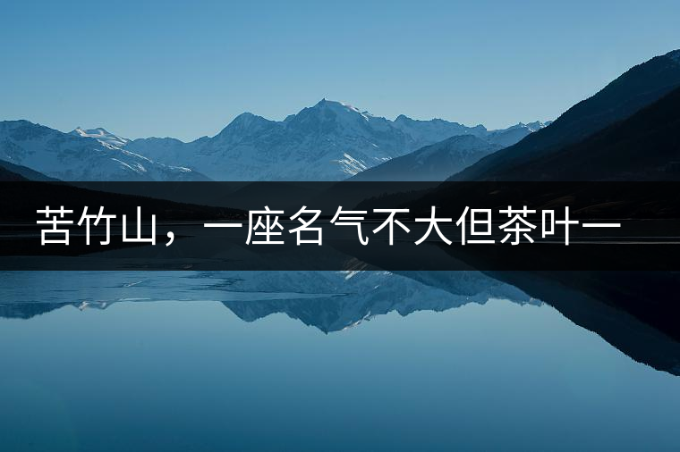 苦竹山，一座名氣不大但茶葉一流的古茶山