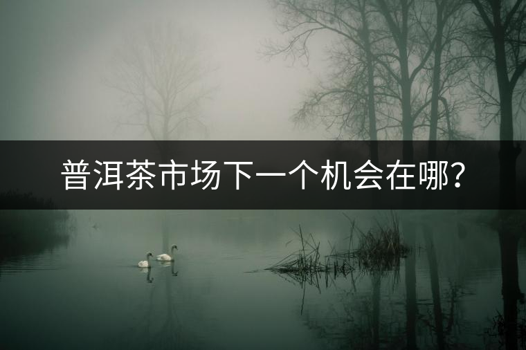 普洱茶市場(chǎng)下一個(gè)機(jī)會(huì)在哪？