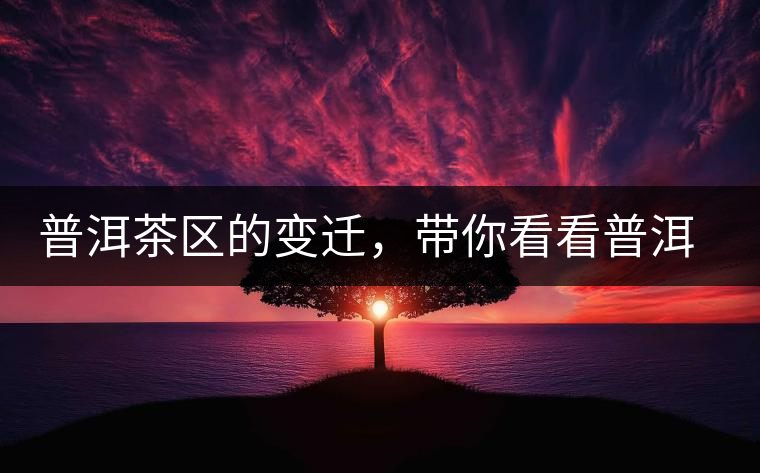 普洱茶區(qū)的變遷，帶你看看普洱茶地域分布