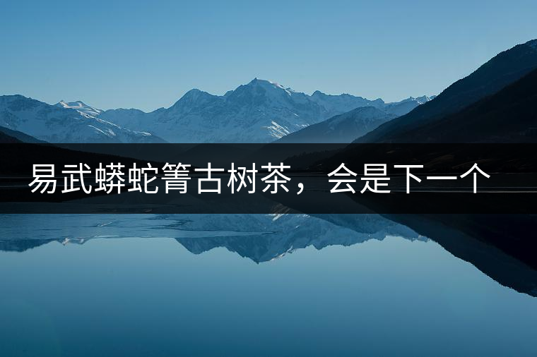 易武蟒蛇箐古樹茶，會是下一個銅箐河嗎？