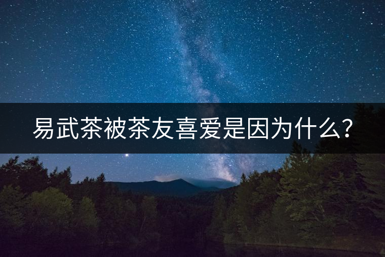 易武茶被茶友喜愛(ài)是因?yàn)槭裁矗? alt=