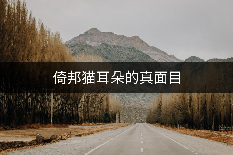 倚邦貓耳朵的真面目