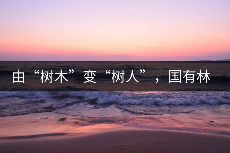 由“樹(shù)木”變“樹(shù)人”，國(guó)有林普洱茶為什么越來(lái)越受歡迎？
