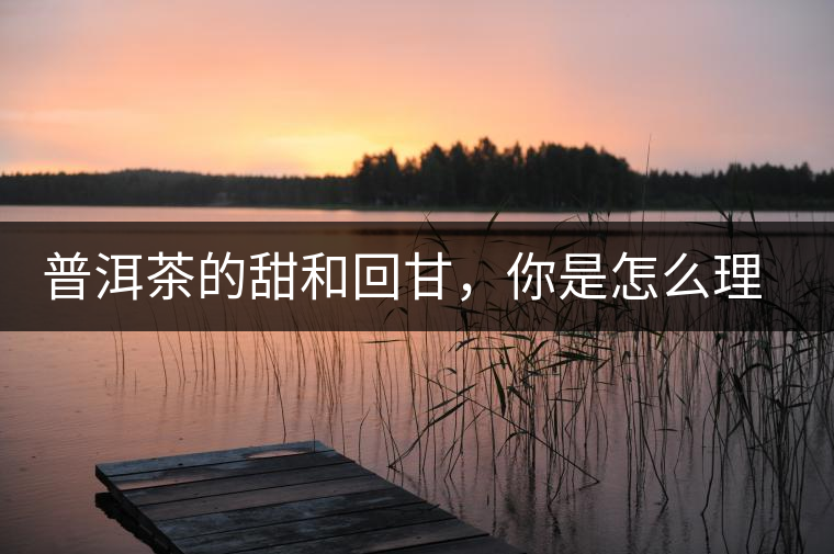 普洱茶的甜和回甘，你是怎么理解的？