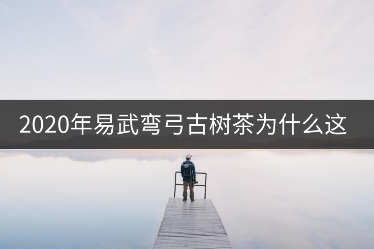 2020年易武彎弓古樹茶為什么這么貴？