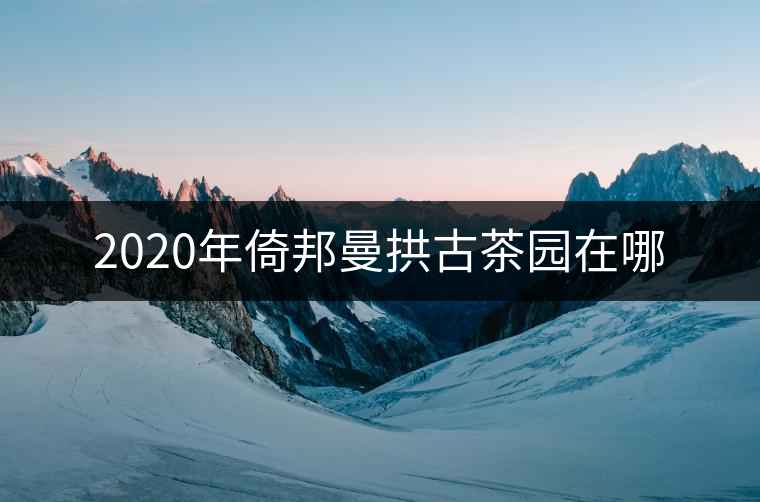 2020年倚邦曼拱古茶園在哪 2020年倚邦曼拱古茶園在哪