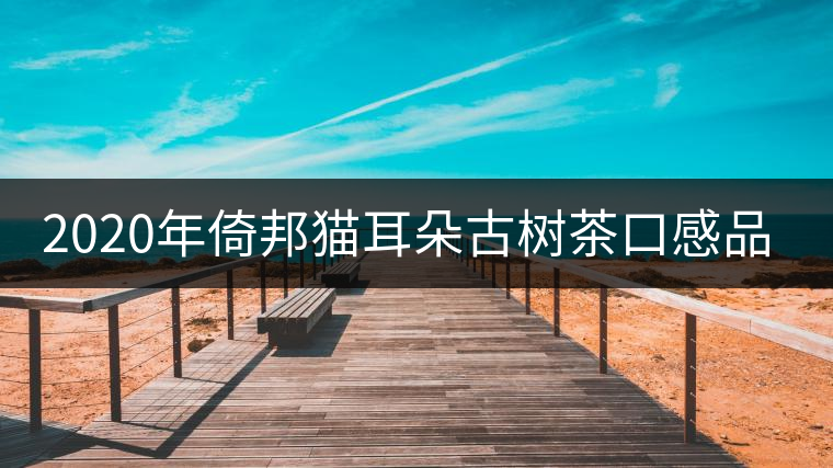 2020年倚邦貓耳朵古樹(shù)茶口感品質(zhì)