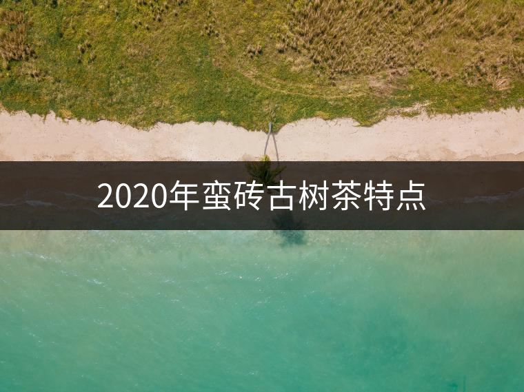 2020年蠻磚古樹茶特點(diǎn) 2020年蠻磚古樹茶特點(diǎn)