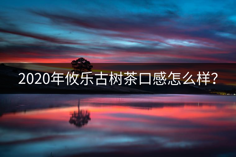 2020年攸樂(lè)古樹(shù)茶口感怎么樣？