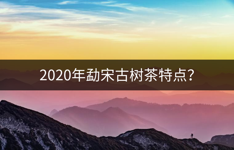 2020年勐宋古樹茶特點(diǎn)？