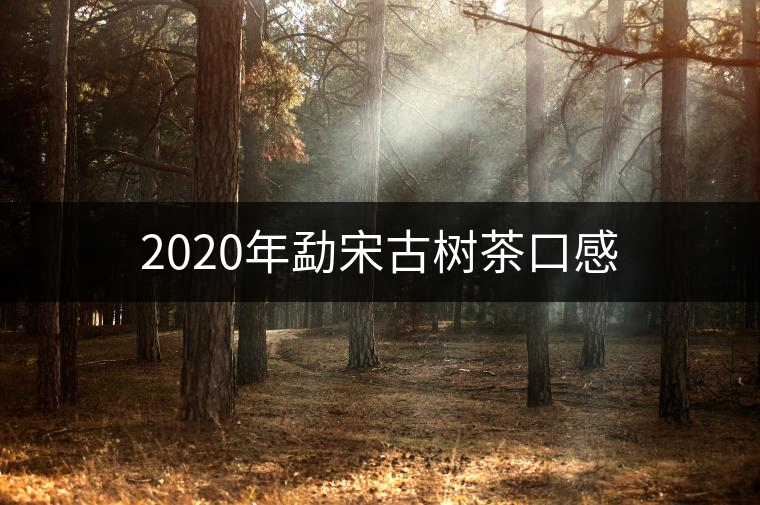 2020年勐宋古樹茶口感 2020年勐宋古樹茶口感