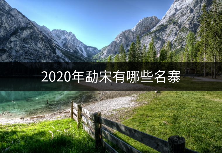 2020年勐宋有哪些名寨 2020年勐宋有哪些名寨