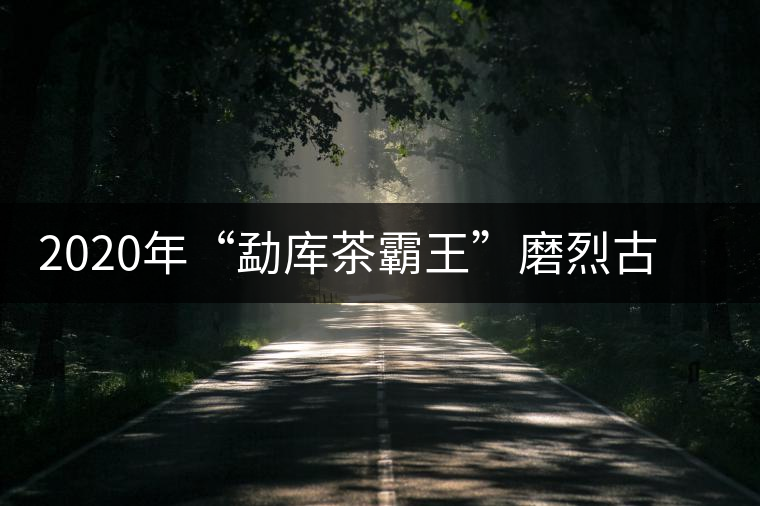2020年“勐庫(kù)茶霸王”磨烈古樹(shù)春茶華麗逆襲 2020年“勐庫(kù)茶霸王”磨烈古樹(shù)春茶華麗逆襲