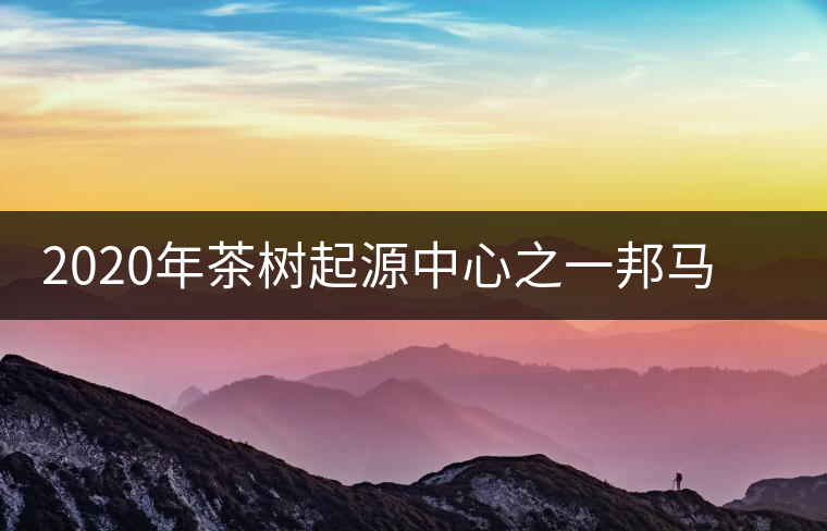 2020年茶樹(shù)起源中心之一邦馬大雪山上有哪些神秘的村寨？