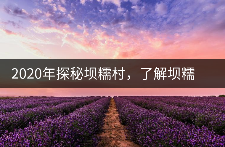 2020年探秘壩糯村，了解壩糯藤條茶的真相