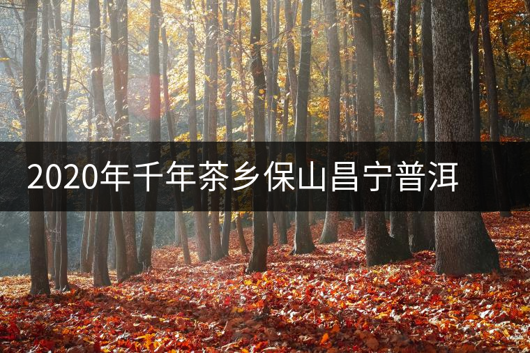 2020年千年茶鄉(xiāng)保山昌寧普洱茶茶產(chǎn)區(qū)介紹 2020年千年茶鄉(xiāng)保山昌寧普洱茶茶產(chǎn)區(qū)介紹