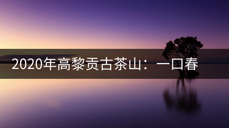 2020年高黎貢古茶山：一口春茶香，一口騰沖味