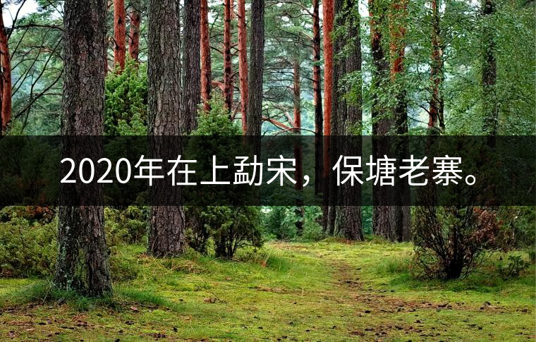 2020年在上勐宋，保塘老寨。