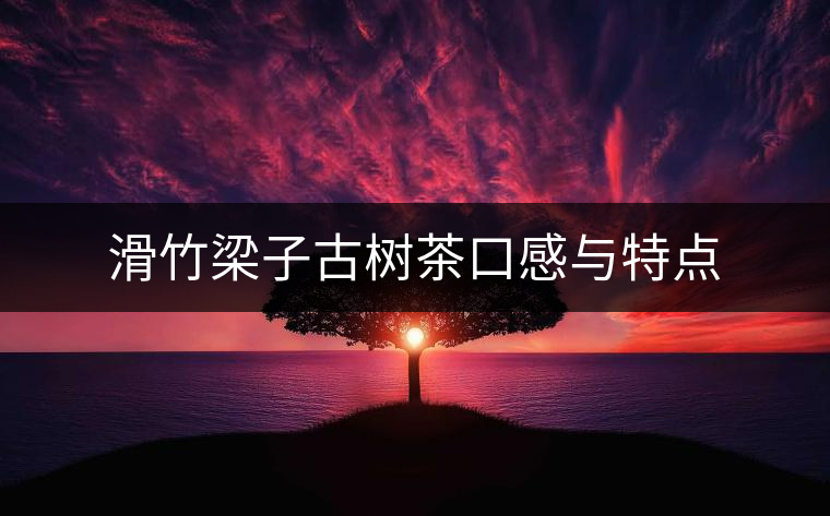 滑竹梁子古樹(shù)茶口感與特點(diǎn) 滑竹梁子古樹(shù)茶口感與特點(diǎn)