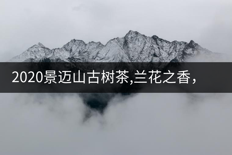 2020景邁山古樹茶,蘭花之香，自然之味