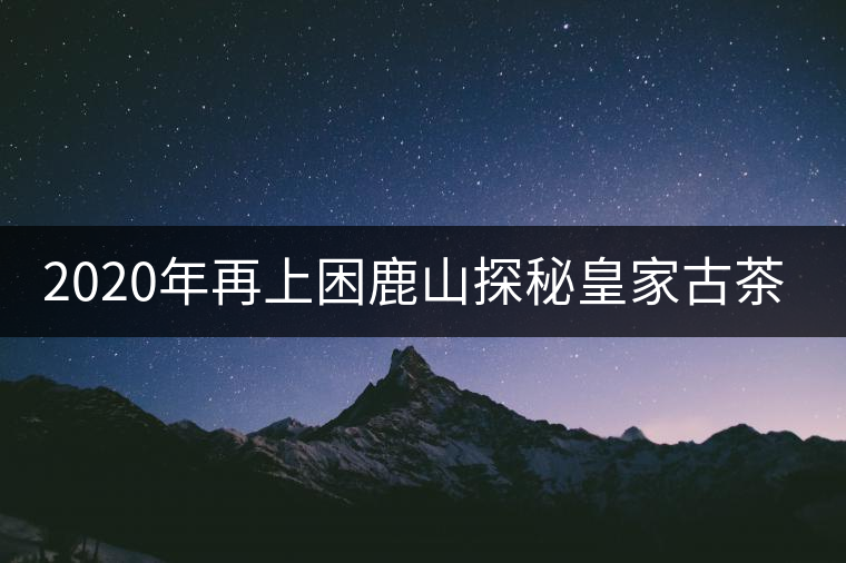 2020年再上困鹿山探秘皇家古茶園 2020年再上困鹿山探秘皇家古茶園