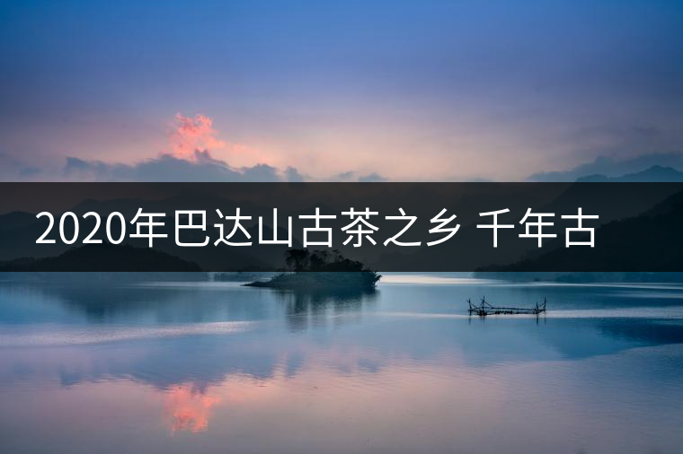 2020年巴達山古茶之鄉(xiāng) 千年古寨章朗早春行 2020年巴達山古茶之鄉(xiāng) 千年古寨章朗早春行