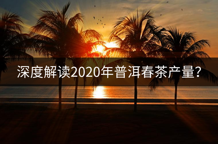深度解讀2020年普洱春茶產(chǎn)量？