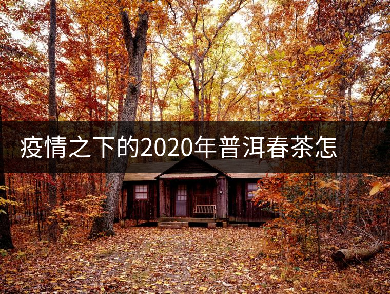 疫情之下的2020年普洱春茶怎么辦？春天會(huì)遲到，但一定會(huì)來