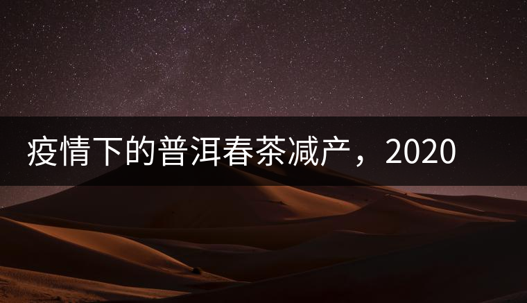 疫情下的普洱春茶減產(chǎn)，2020年價格“兩極分化”或成常態(tài)？