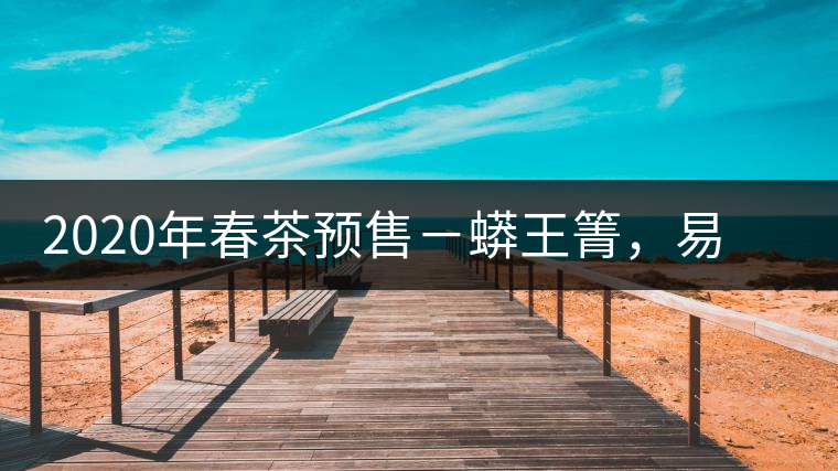 2020年春茶預(yù)售－蟒王箐，易武一個蟒蛇出沒的地方