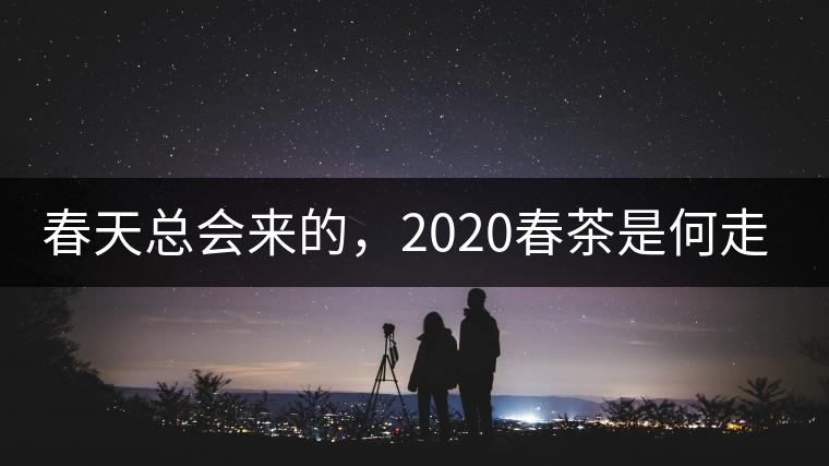 春天總會來的，2020春茶是何走勢？