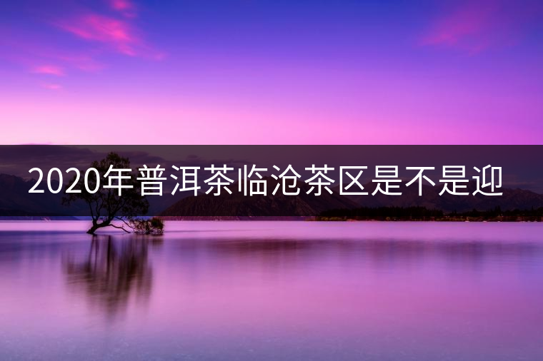 2020年普洱茶臨滄茶區(qū)是不是迎來(lái)最好機(jī)遇？