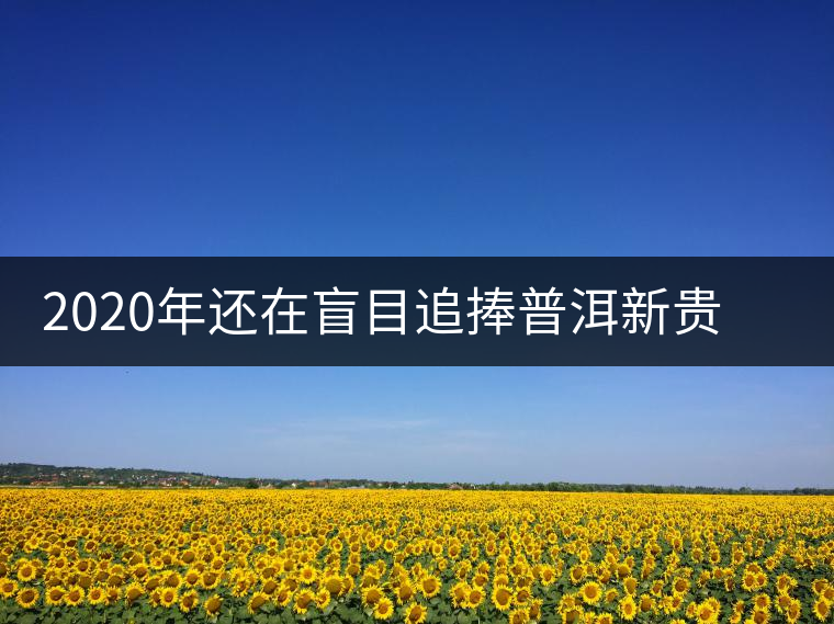 2020年還在盲目追捧普洱新貴“貓耳朵”？我們深入產(chǎn)區(qū)為你揭示最真實(shí)的“貓耳朵”！