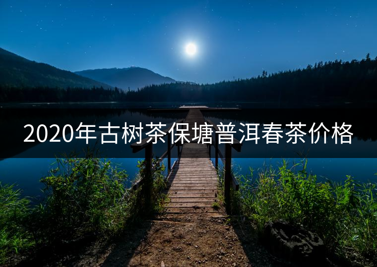 2020年古樹茶保塘普洱春茶價(jià)格 2020年古樹茶保塘普洱春茶價(jià)格