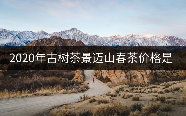 2020年古樹茶景邁山春茶價格是多少？