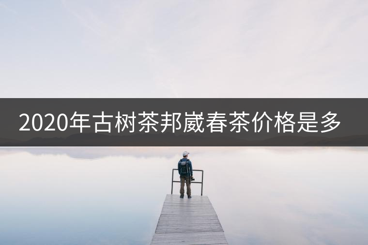 2020年古樹(shù)茶邦崴春茶價(jià)格是多少？