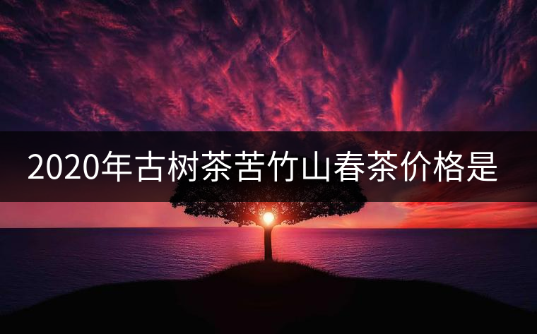 2020年古樹茶苦竹山春茶價(jià)格是多少？