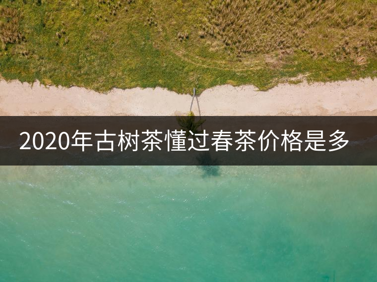 2020年古樹(shù)茶懂過(guò)春茶價(jià)格是多少？