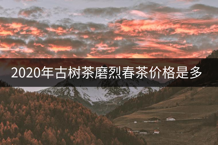 2020年古樹茶磨烈春茶價格是多少？