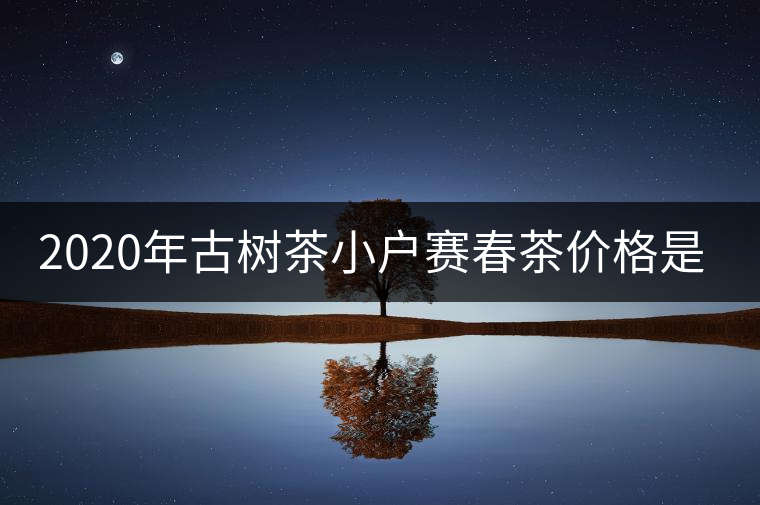 2020年古樹茶小戶賽春茶價格是多少？