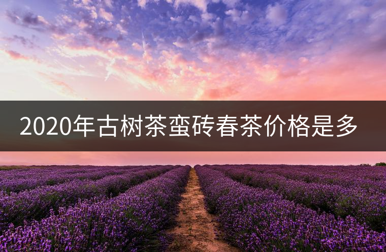 2020年古樹茶蠻磚春茶價格是多少？