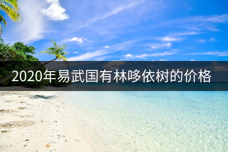 2020年易武國有林哆依樹的價格是多少? 2020年易武國有林哆依樹的價格是多少?