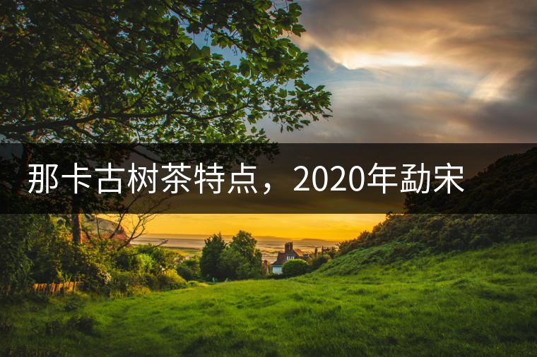 那卡古樹茶特點(diǎn),2020年勐宋茶區(qū)保塘普洱茶口感 那卡古樹茶特點(diǎn),2020年勐宋茶區(qū)保塘普洱茶口感